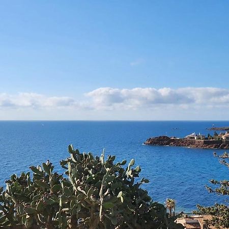 Petit Paradis Vue Mer- Plage Et Calanques A 3 Mn Saint-Raphaël Eksteriør billede