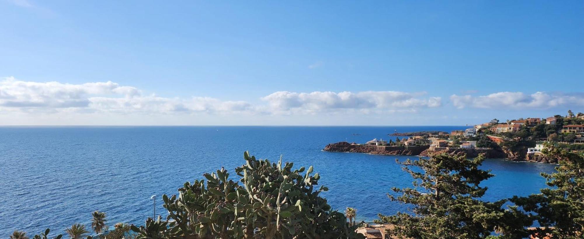 Petit Paradis Vue Mer- Plage Et Calanques A 3 Mn Saint-Raphaël Eksteriør billede